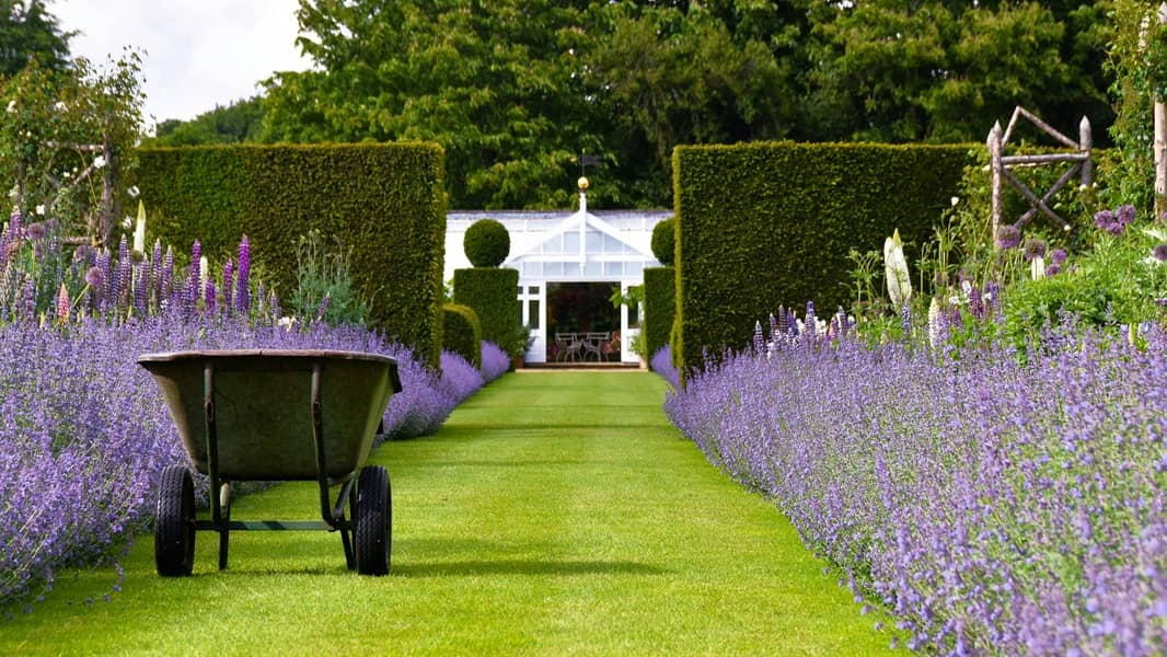 Englischer Garten mit Lavendel-Allee und Schubkarre