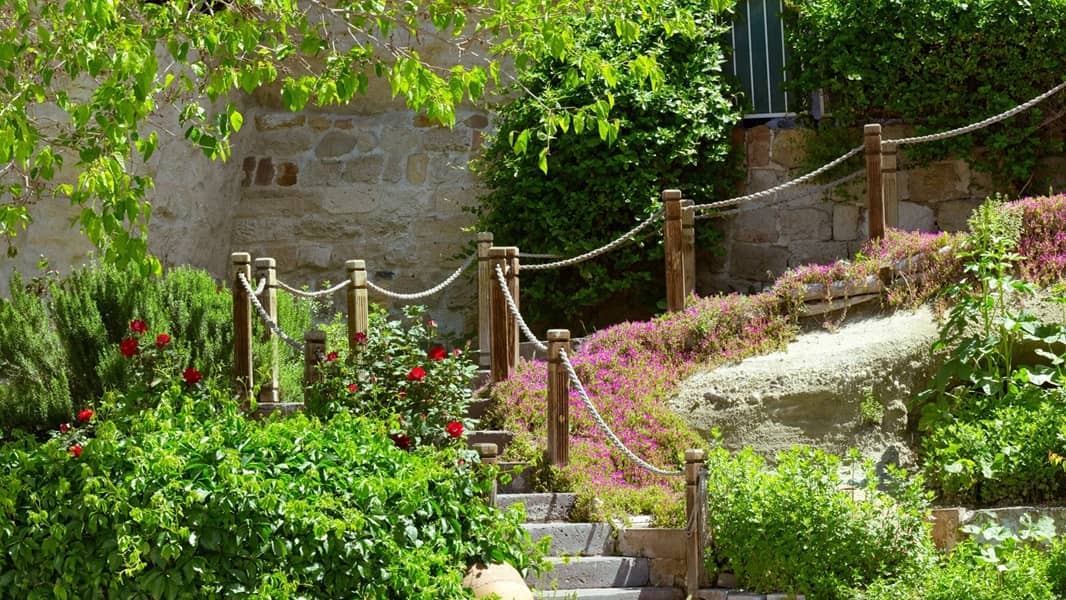 Gepflegter Garten mit Steinstufen und blühenden Pflanzen